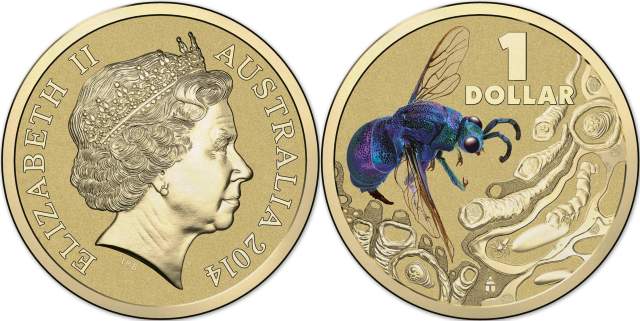 Pad Printed Colour Cuckoo Wasp Australian Dollar Coin in the Bright Bugs Series (image courtesy www.ramint.gov.au)