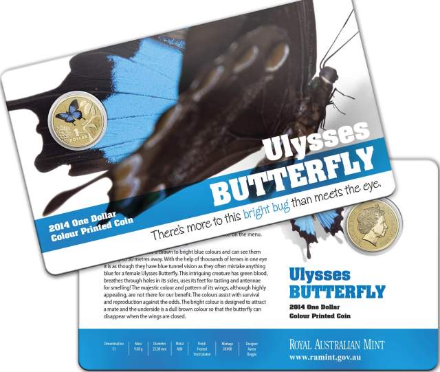 Ulysses Butterfly Bright Bugs Collector Card (image courtesy www.ramint.gov.au)