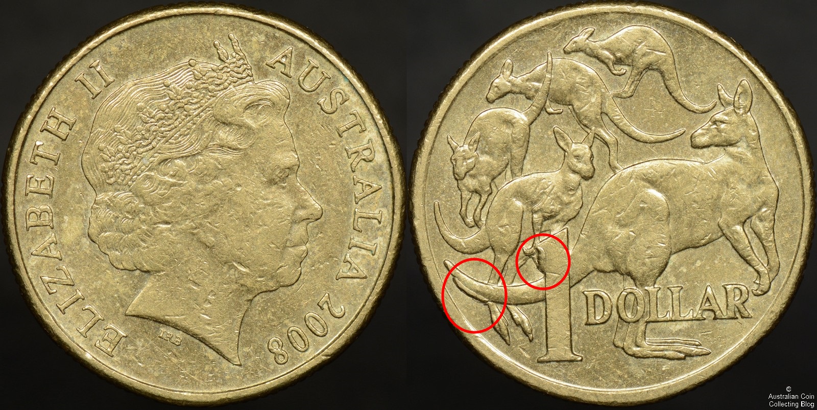 2008 Double Tail Roo Variety Dollar The Australian Coin Collecting Blog