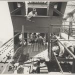 Painting_the_girders_on_the_Sydney_Harbour_Bridge,_1932_(8282697955)